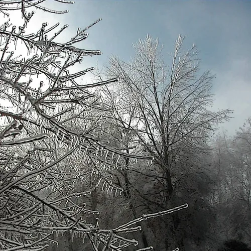 Ice Storm 3