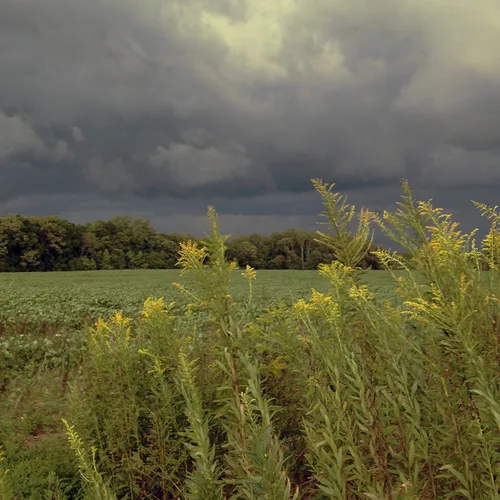 Storm Front 2 daubs warm