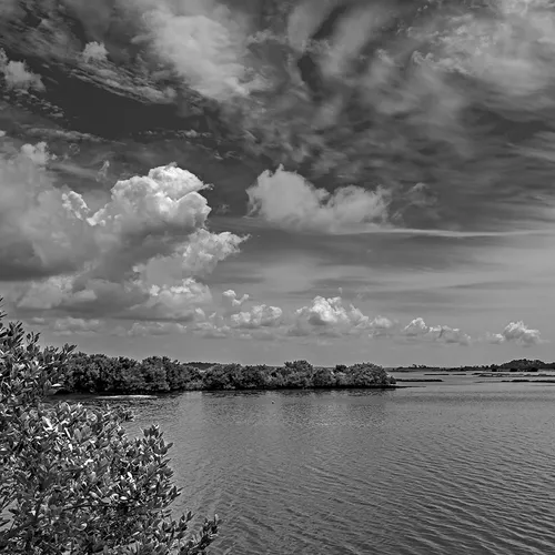 Cedarkey 1 B&W