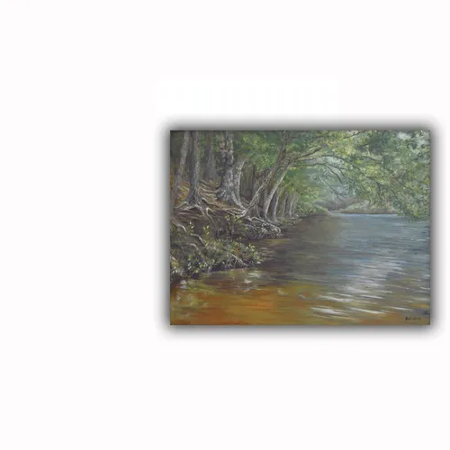 Pee Dee River Basin 1