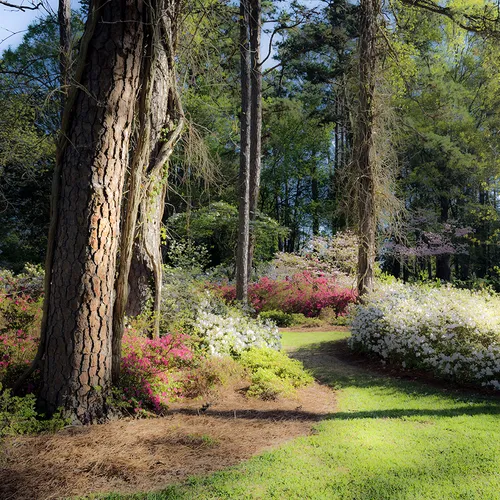 Hurley 2 Spring 2018