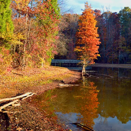 autumn Dan Nicholas 3