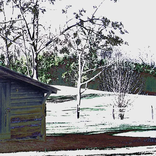 Gold Hill Barn and Beetle