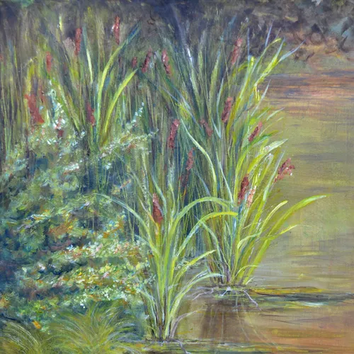 Cattails At Hurley Community Park