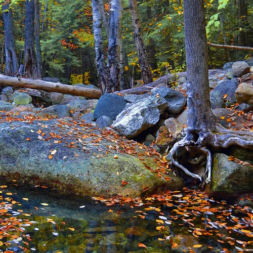New Hampshire Mtns 10
