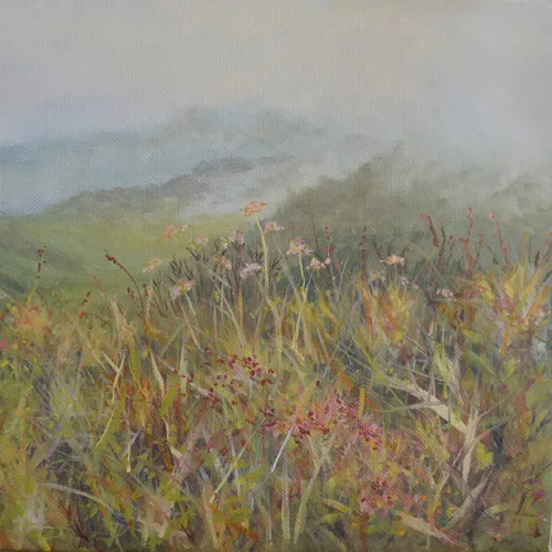 Blue Ridge Wildflowers-2