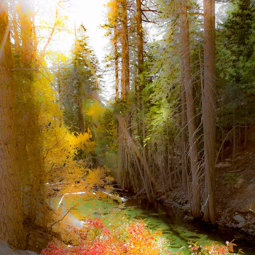 Yosemite Along Tioga Too