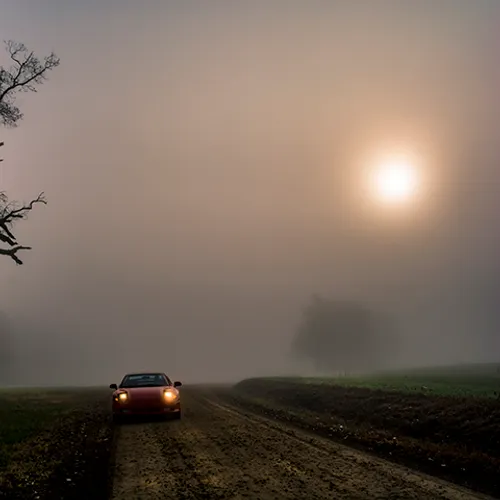 Fanniesloan 2015 Fog 16