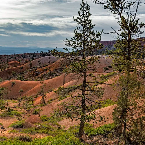 BryceNationalPark 18