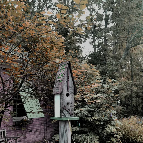 Birdhouse 3