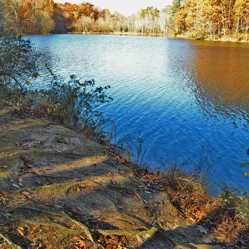 Lake Corriher 2014-11