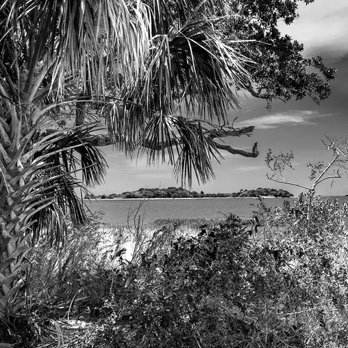 Cedarkey 14 B&W