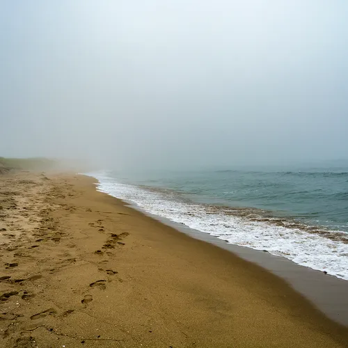 PortAuxBasqueReturn 7