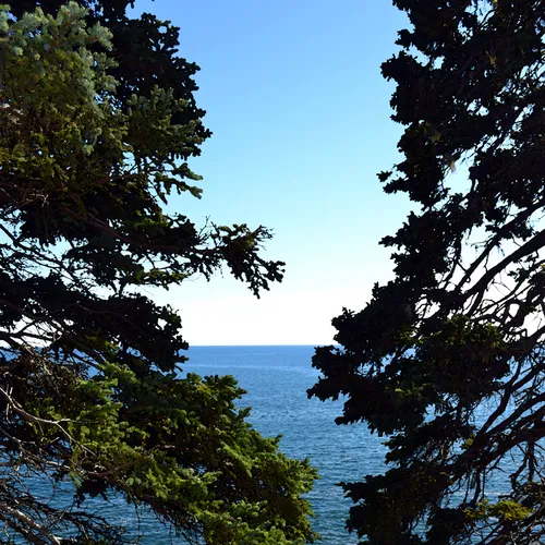 Acadia Shore Fall 1-5