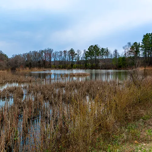 Wildlifeaccessmar 2019 5