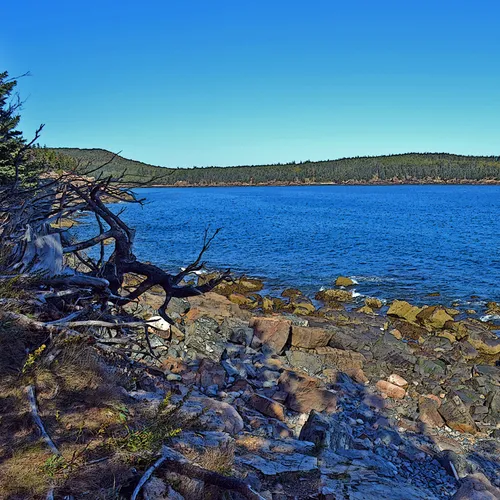 Acadia Shore Fall 1-21