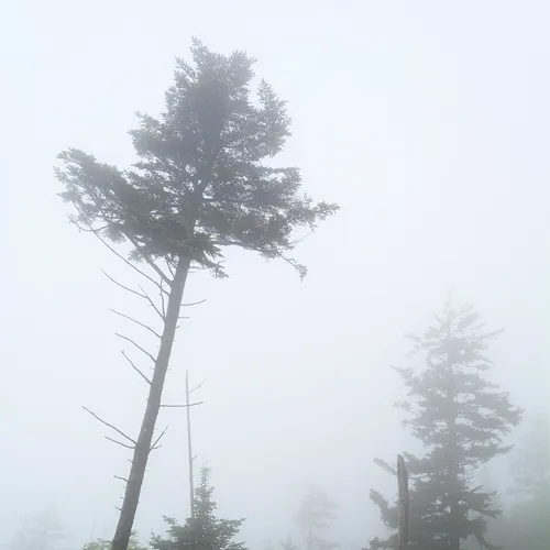 Clingmansdome 1
