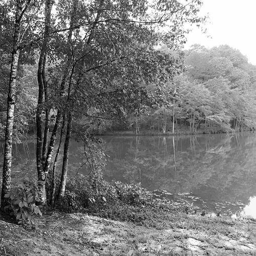 Corriher 2016 Sum 9 B&W