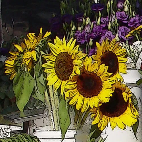 Sunflowers 2
