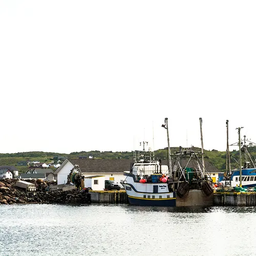 Twillingate 68