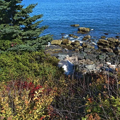 Acadia Shore Fall 1-6