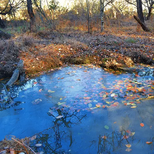 Lake Corriher 2014-9
