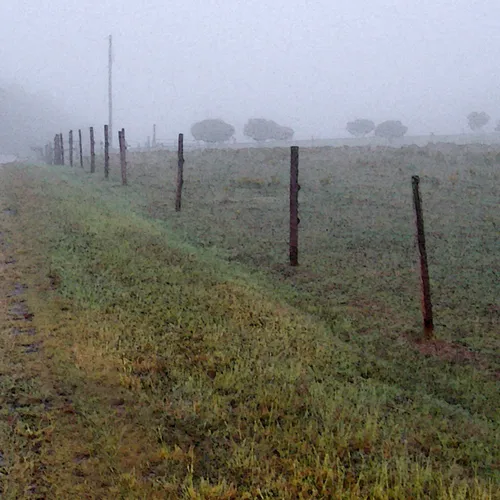 Fence Posts 1