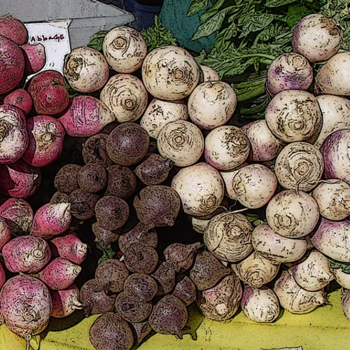 Beets 1