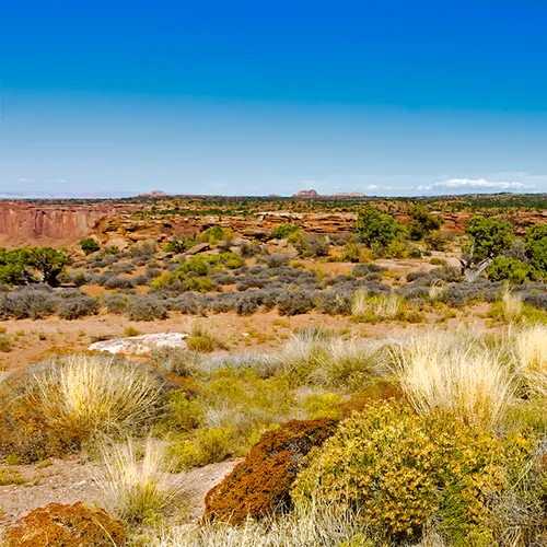 CanyonlandsNationalPark 16