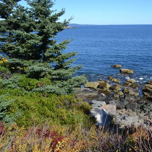 Acadia Shore Fall 1-7