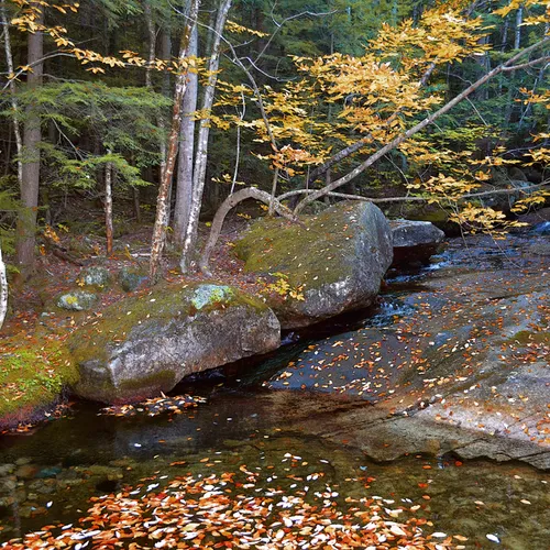 New Hampshire Mtns 11