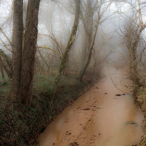 Fanniesloan 2015 Fog 14