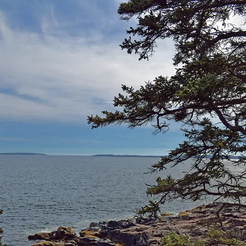 Acadia Shore 2