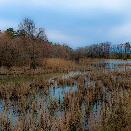 Wildlifeaccessmar 2019 Blur 5