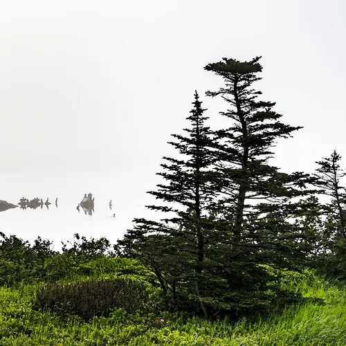 PortAuxBasqueReturn 3