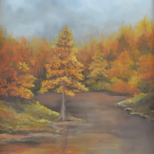 Dan Nicholas in the Fall