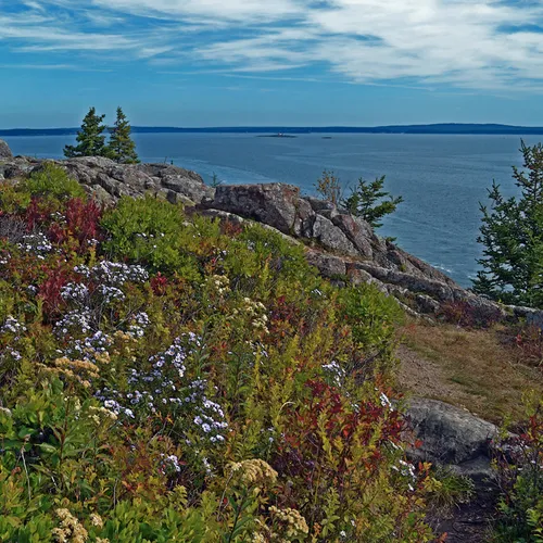 Acadia Shore Fall 1-17
