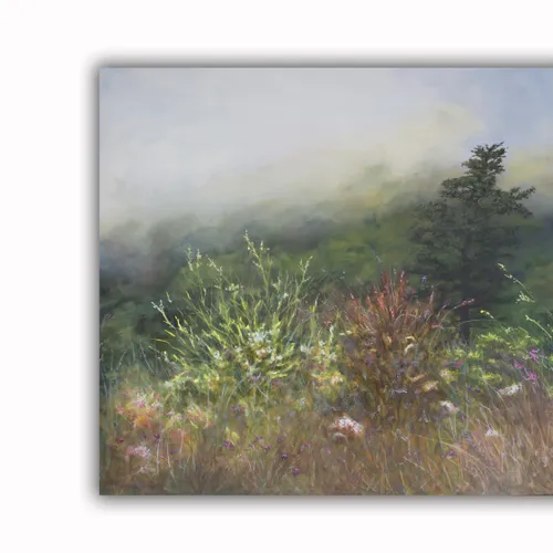 Blue Ridge Parkway Fog