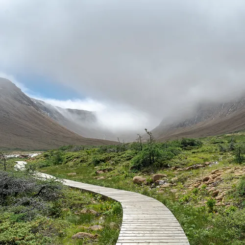 Newfoundlandtableland 5