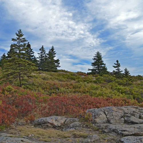 Acadia Shore Fall 1-16