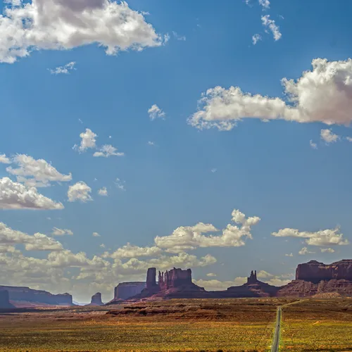 Forrest 1 Utah 163 2