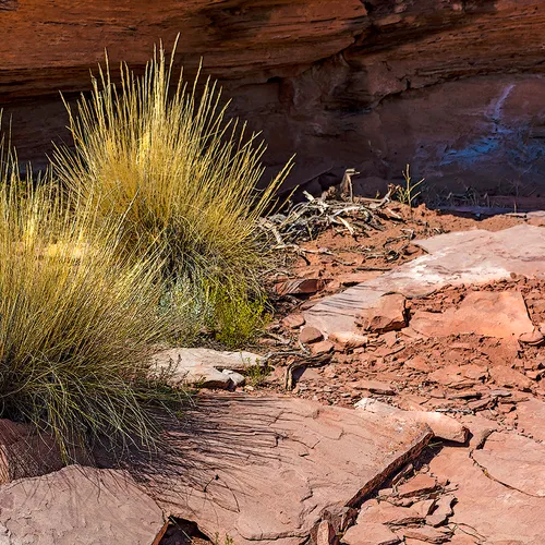 CanyonlandsNationalPark 23