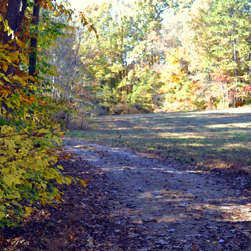 wildlife Association 8