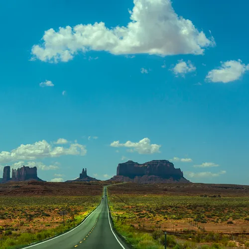 Forrest 1 Utah 163 1