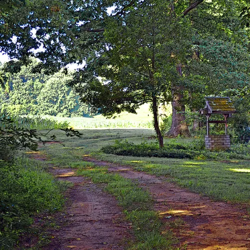 Owen Harrison House 8