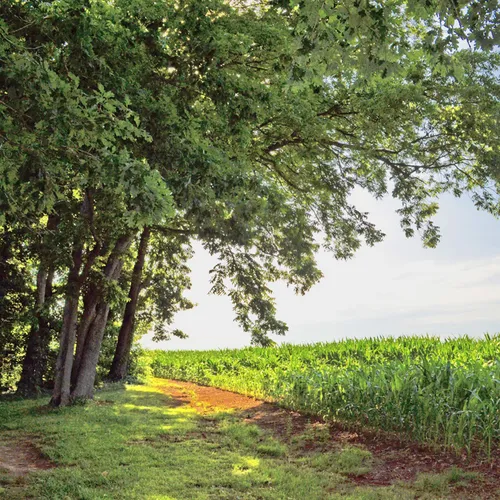 OwenHarrisonHouse 14