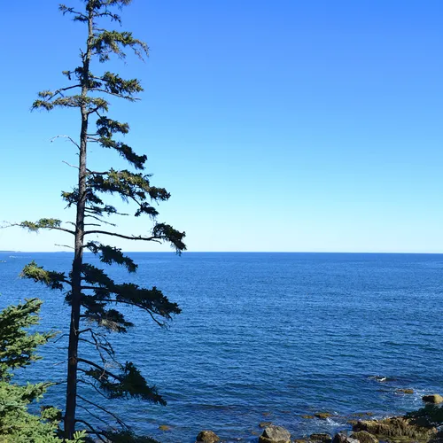 Acadia Shore Fall 1-4