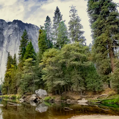 Yosemite View 2