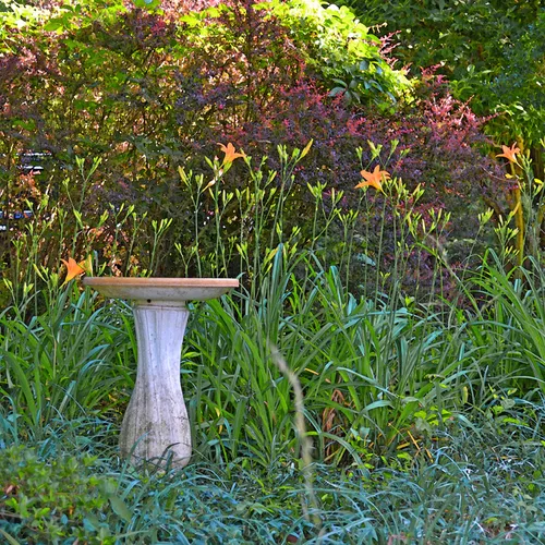 OwenHarrisonHouse 12