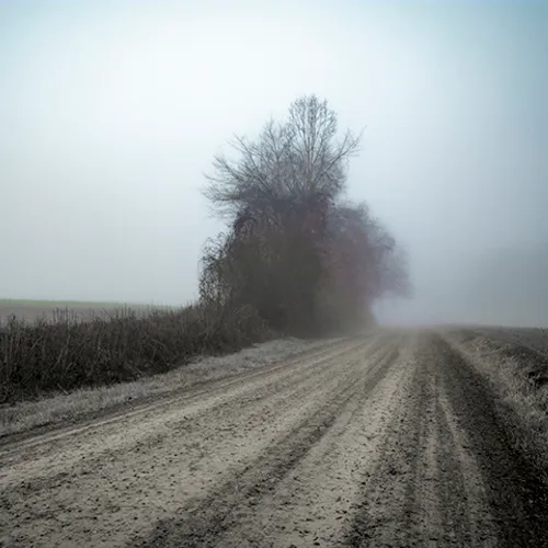 Fanniesloan 2015 Fog 6